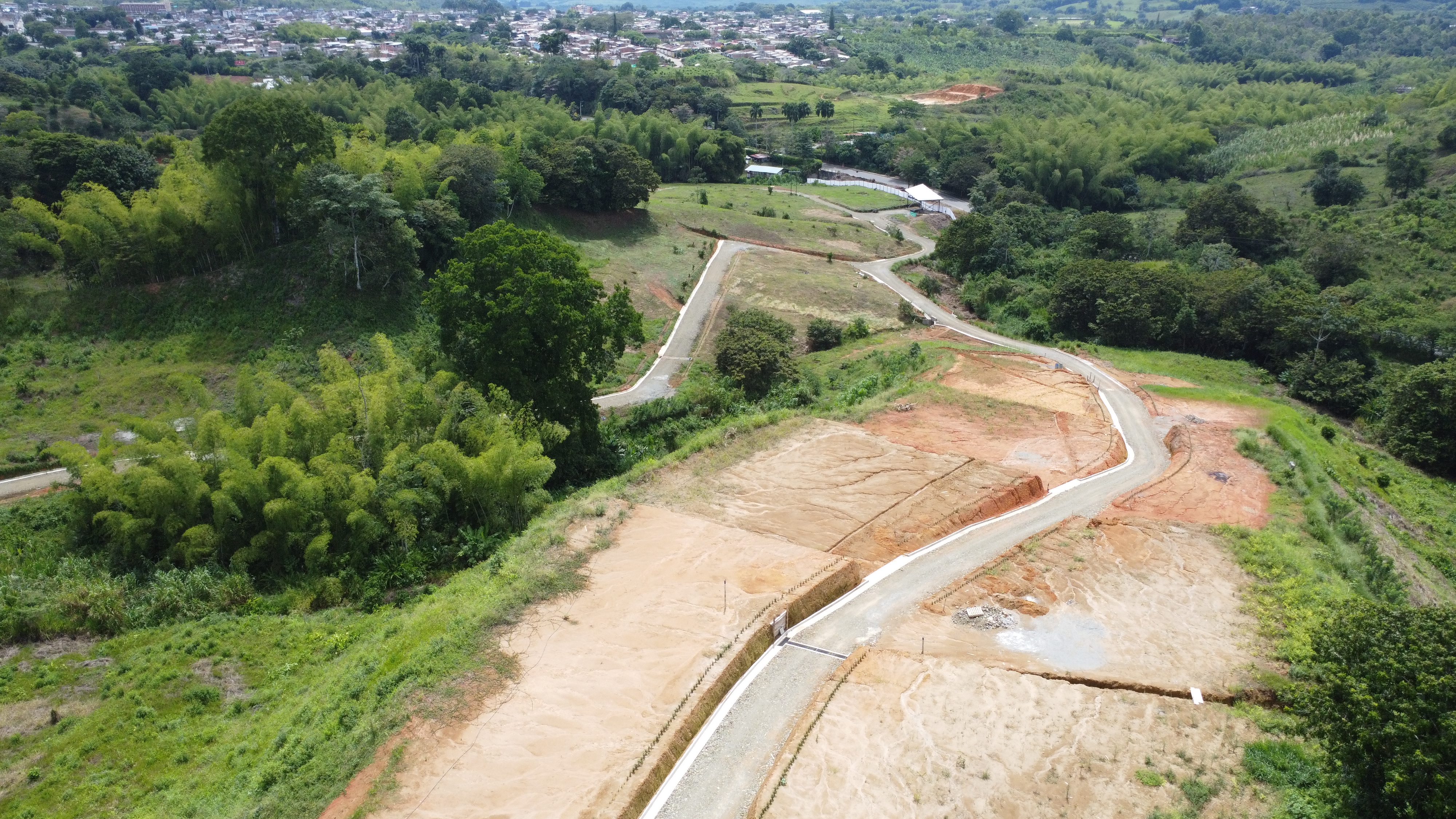 Descripción de la imagen